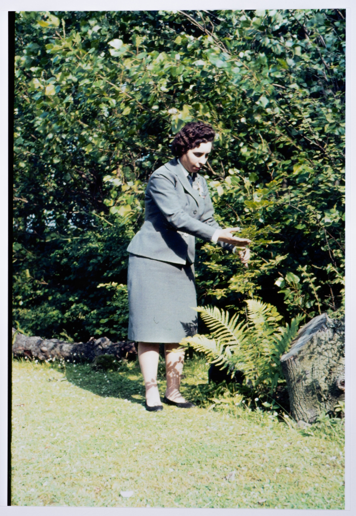 Mahira Dajani, Denmark