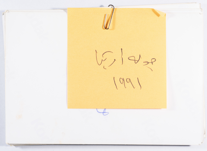جولة الفنون في أميركا عام 1991