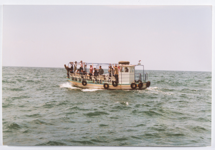 A Colour Photograph of el-Funoun Palestinian Popular Dance Troupe's Dance Shows at Birzeit Club between 1990 and 1992
