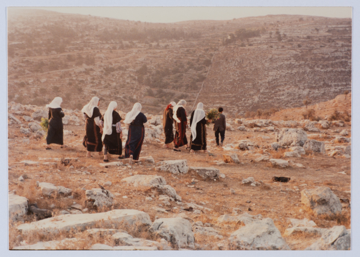 زيارة النساء لقبر الشهيد محمد أبو عكر