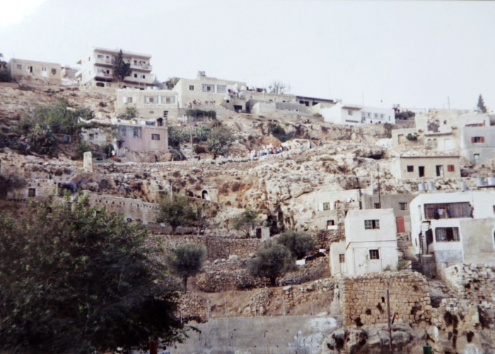 منظر عام لقرية ارطاس