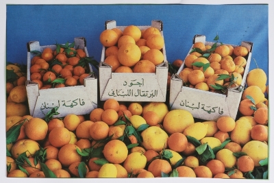 حمضيّات، لبنان