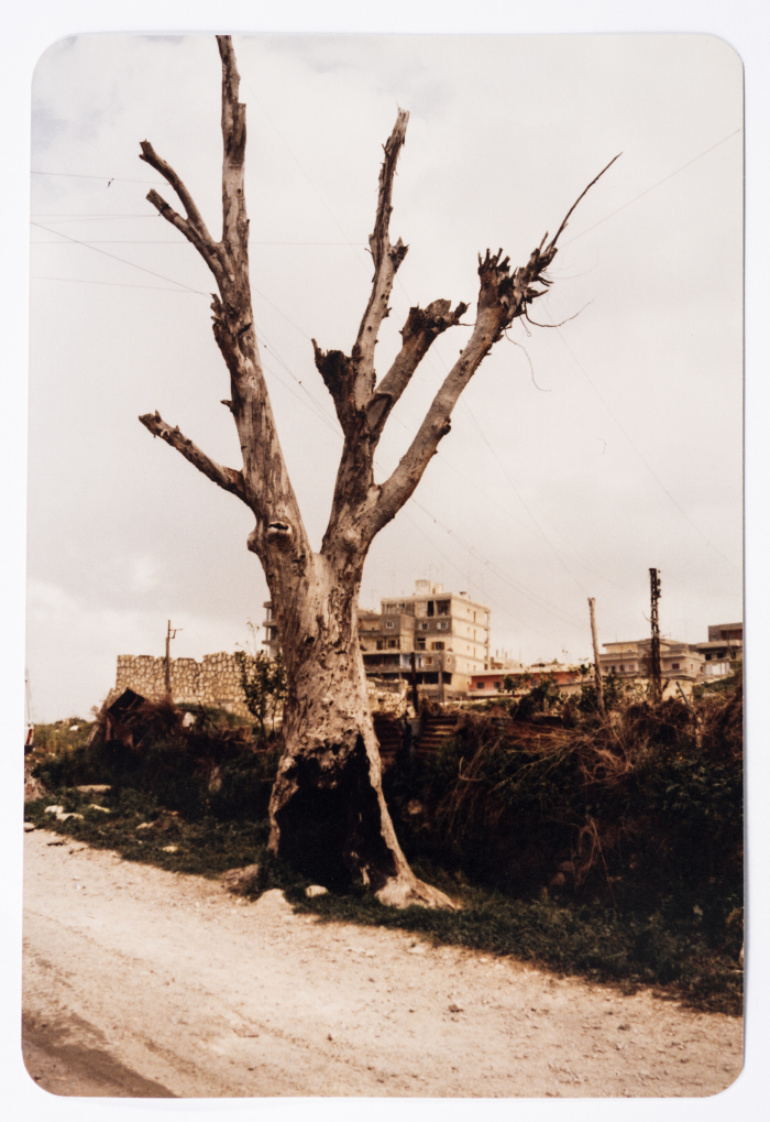 مشهد من الحياة اليومية، مخيم عين الحلوة، 1980- 1989