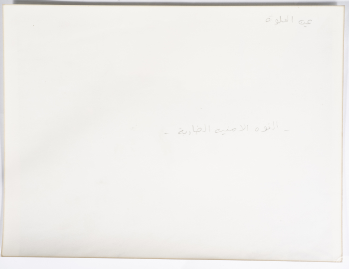 The Strike Security Force, Ein El Hilweh Camp, 1980- 1989
