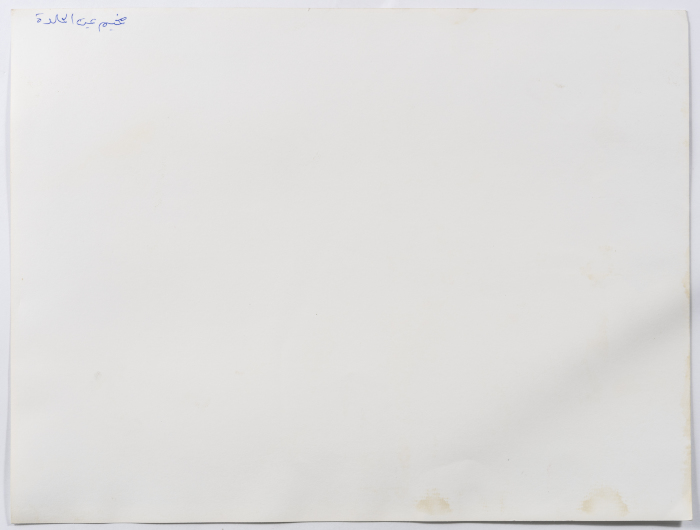 فلسطينيون لاجئون، مخيم عين الحلوة، 1982- 1985