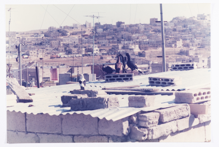 منظر عام، مخيم عمّان الجديد، 1980- 1989