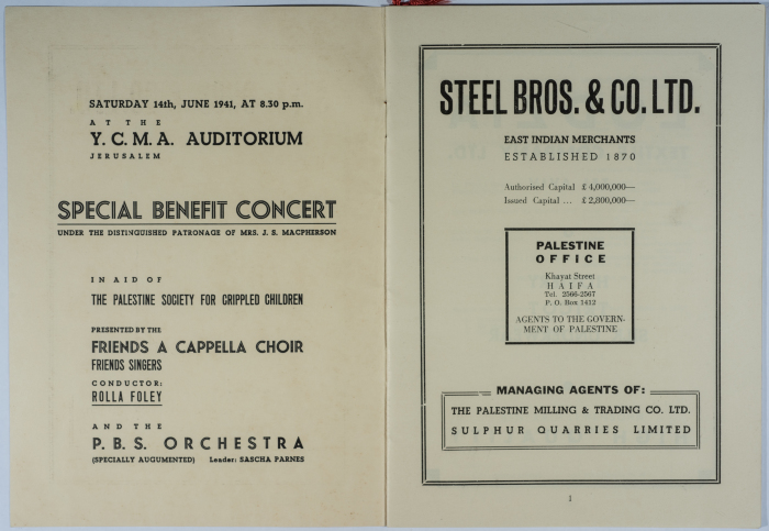 Special Funraising Festival Program Brochure