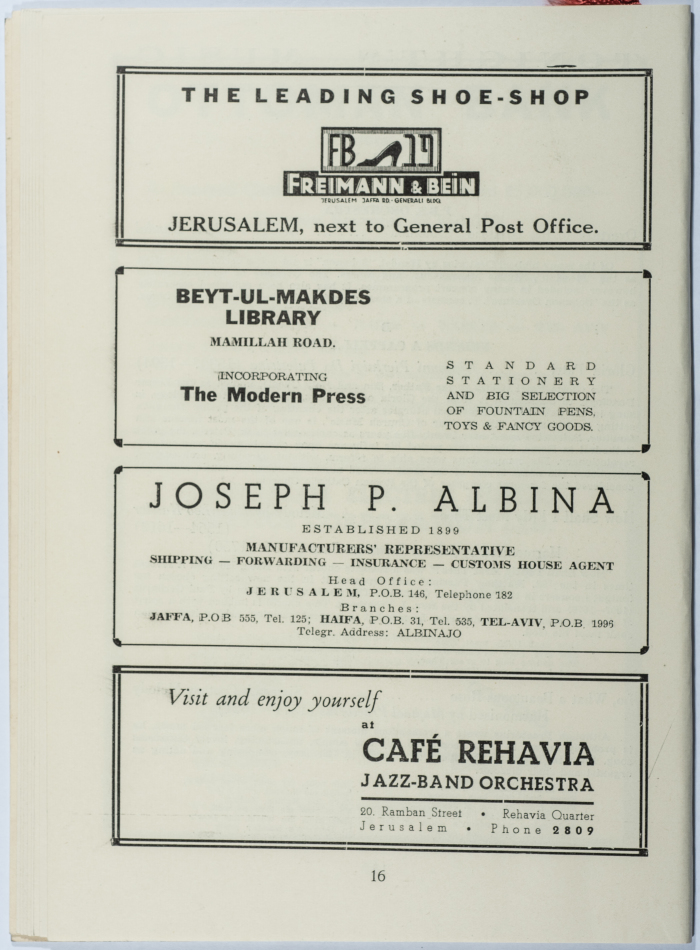 Special Funraising Festival Program Brochure