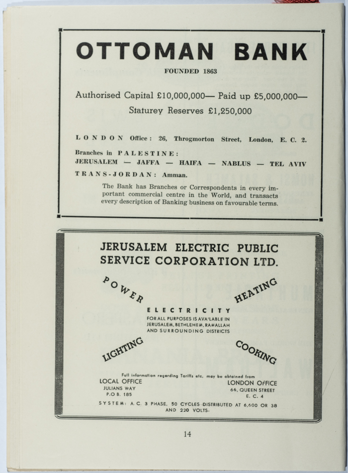Special Funraising Festival Program Brochure