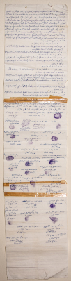 A Petition Signed by the Families of Prisoners in Israeli Occupation Prisons 