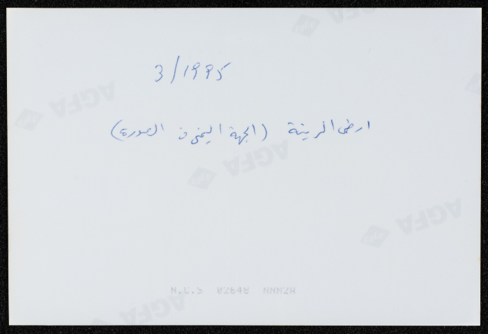 أراضي قرية الرينة 