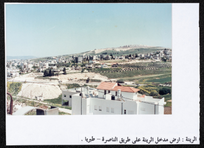 أرض الرينة