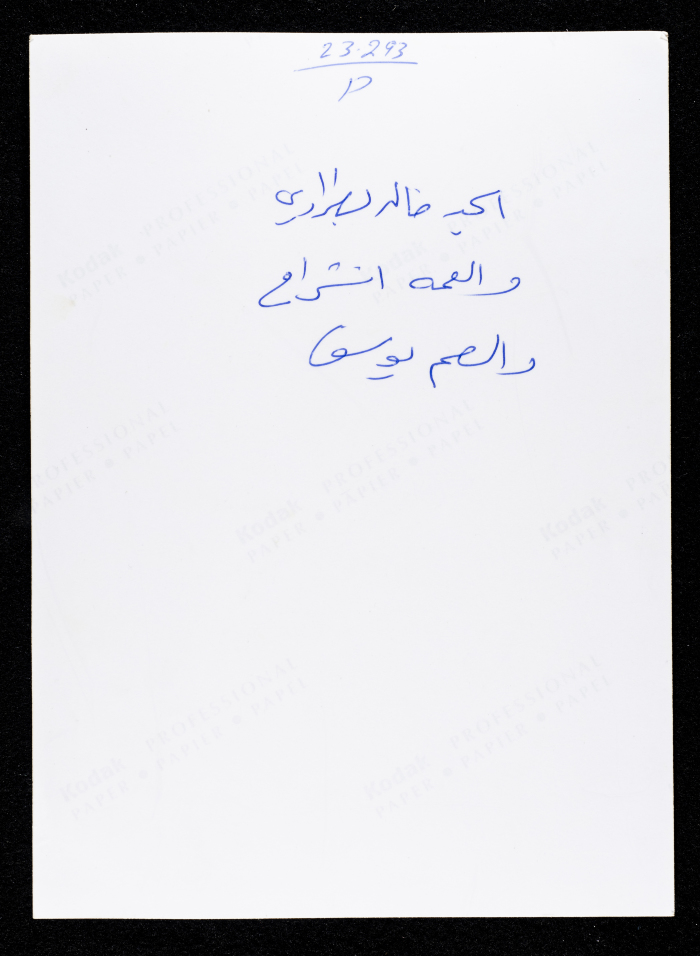 A Photograph of Members of Batrawi Family 