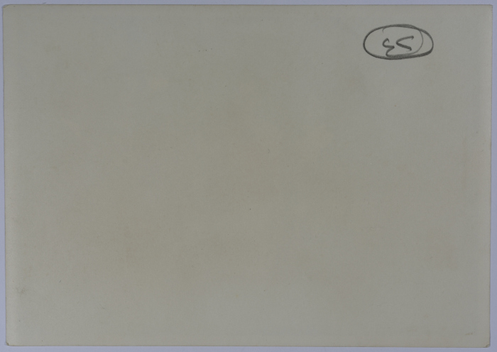 Mahira Dajani with a Kuwaiti Delegation at the Kuwaiti Embassy, Amman, 1962