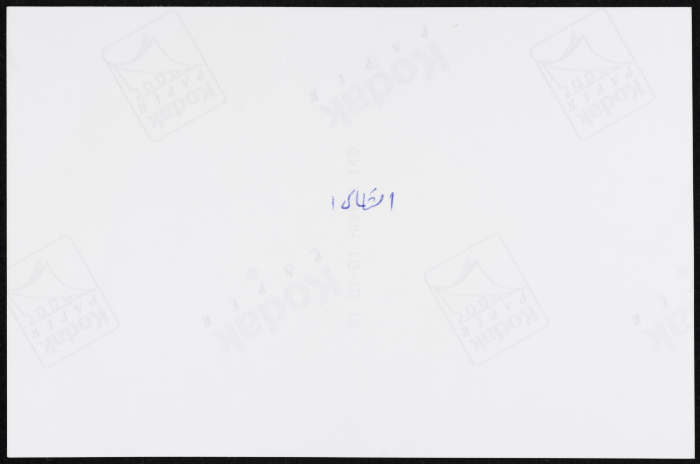 مخيم جنين، 2002