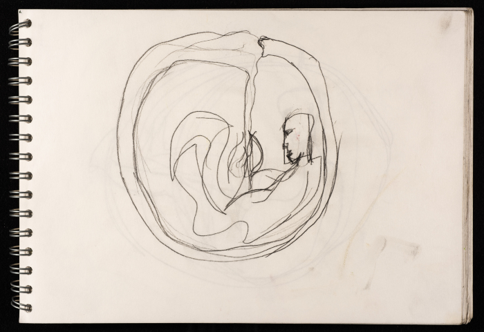 A Draft Sketch by Layan Shawabka 