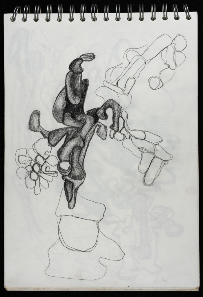 A Draft Sketch by Layan Shawabka 