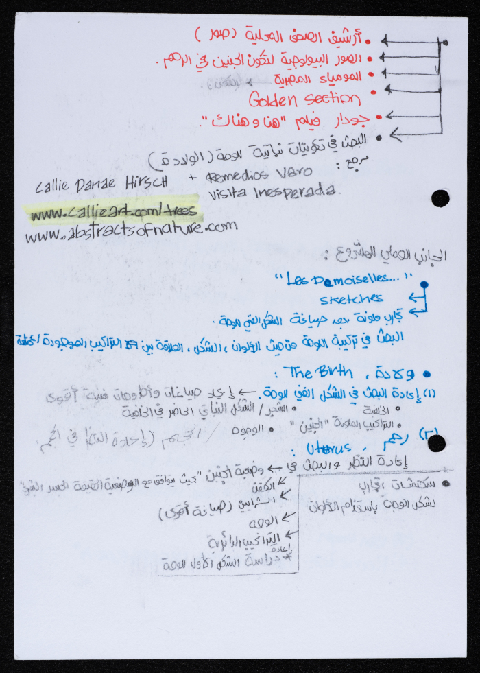 A Work Plan for 