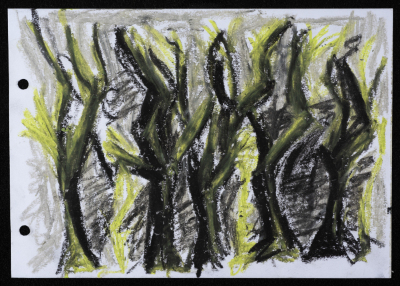 A Draft Sketch by Layan Shawabka