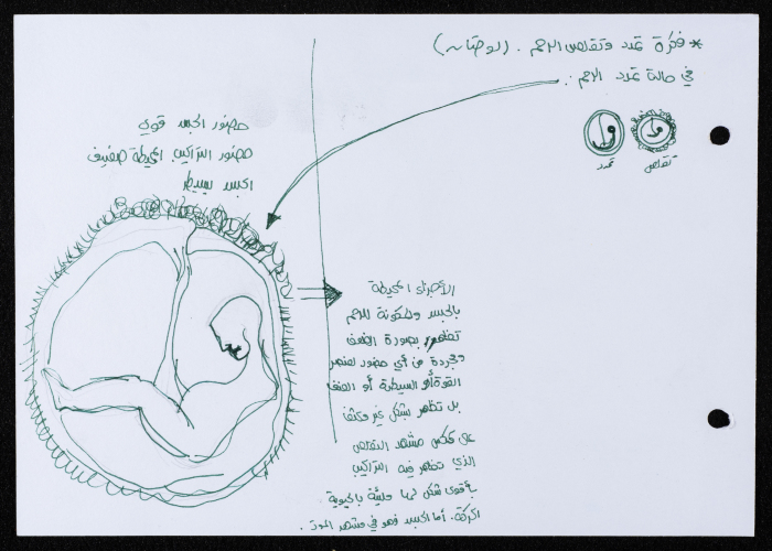 A Draft Sketch from 