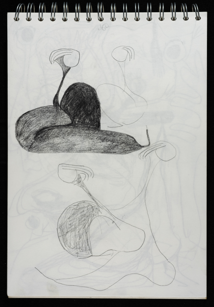 A Draft Sketch by Layan Shawabka 