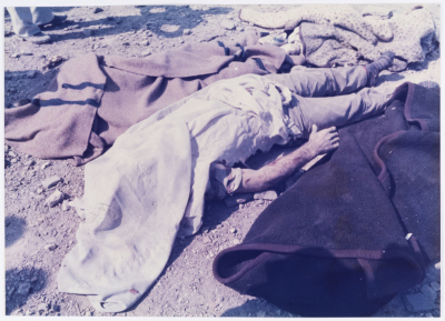 Martyrs of the Israeli Air Raid on Hammam Chott City, 1985