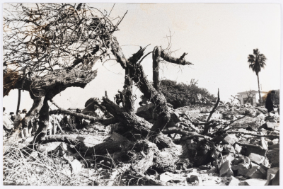 The Effects of the Israeli Air Raid on Hammam Chott City, 1985
