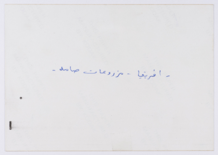 انتاج مزارع مؤسسة صامد، إفريقيا، 1980- 1989