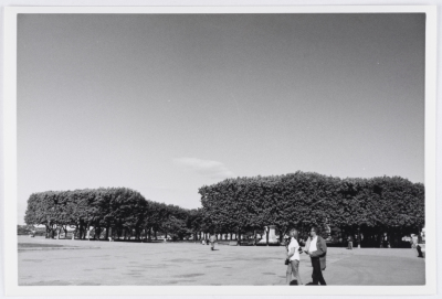 A Glimpse of Sabreen's 