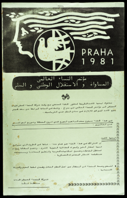 دعوة لاجتماع مع وفد حركة النساء الديمقراطيات إلى مؤتمر النساء العالمي