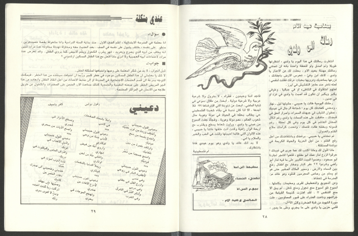 نشرة من اصدار حركة النساء الديمقراطيات عكا