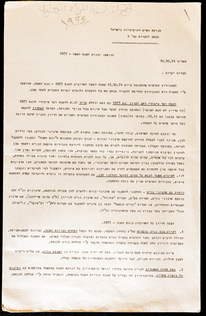 International Women's Year Preparations 