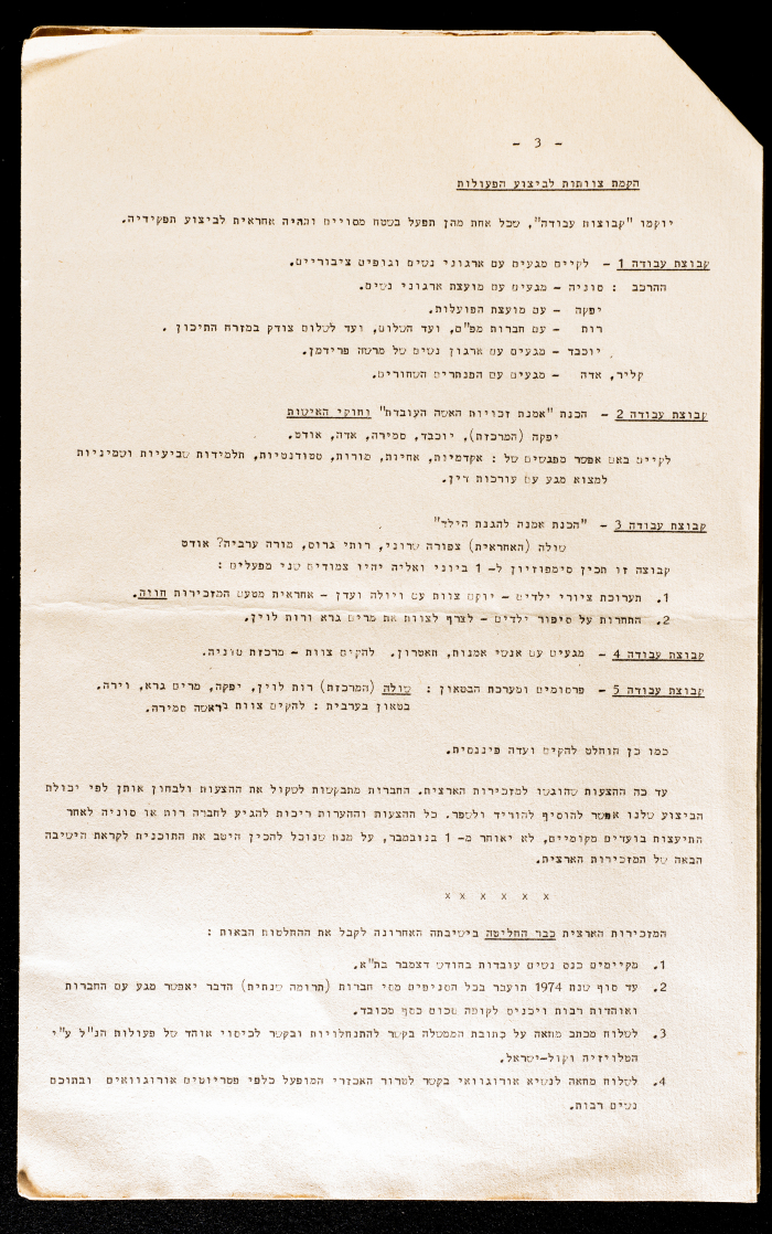 International Women's Year Preparations 