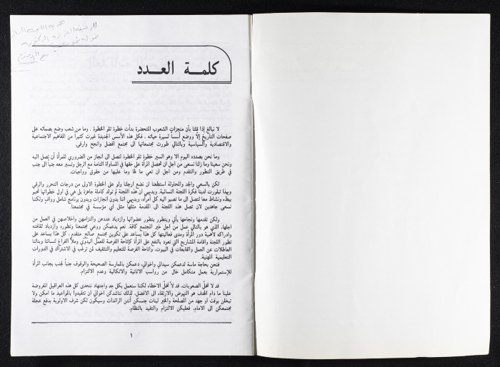 A Cultural Newsletter Issued by the Women Committee in the Golan Heights 