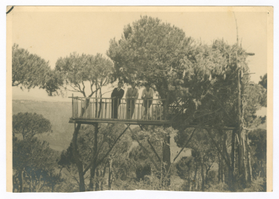 اصدقاء في رحلة