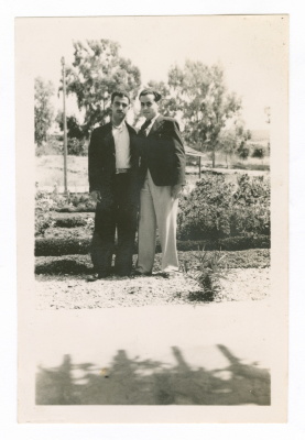 اصدقاء في رحلة