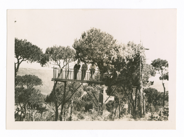 اصدقاء في رحلة الى لبنان