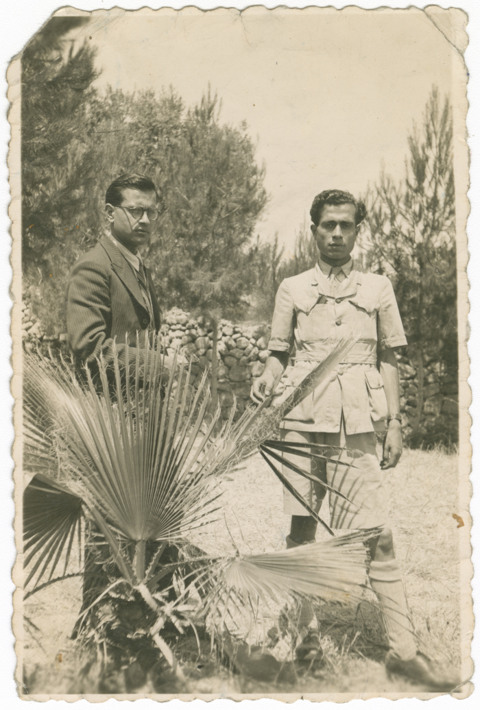 لقطة لرجلان.