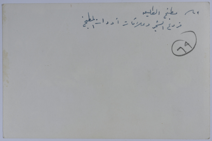 Scout Camp, Umm Safa, 1964
