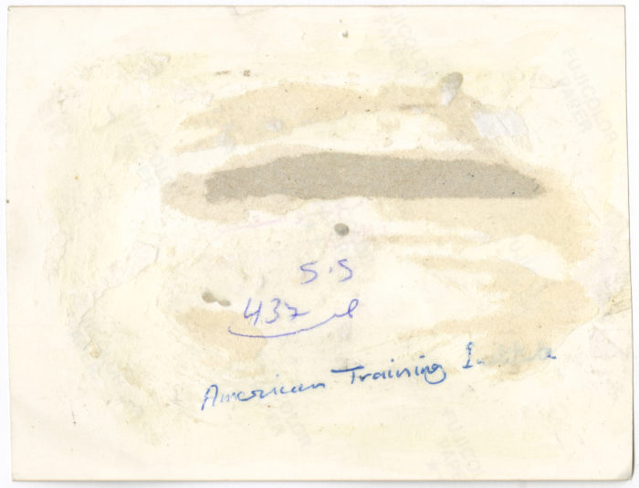 Students of the American Institute for Vocational Education in al-Ramleh