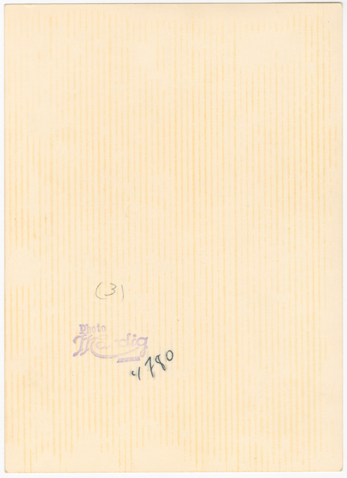 بورتريه زفاف لعروسين