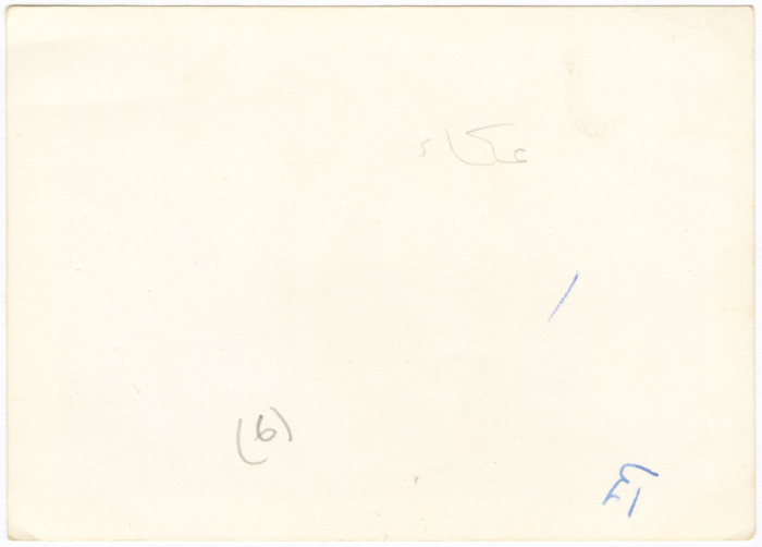 Women on a  trip to Acre