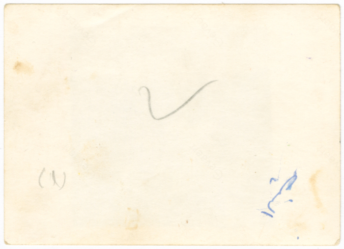 Children from Irsheed Family