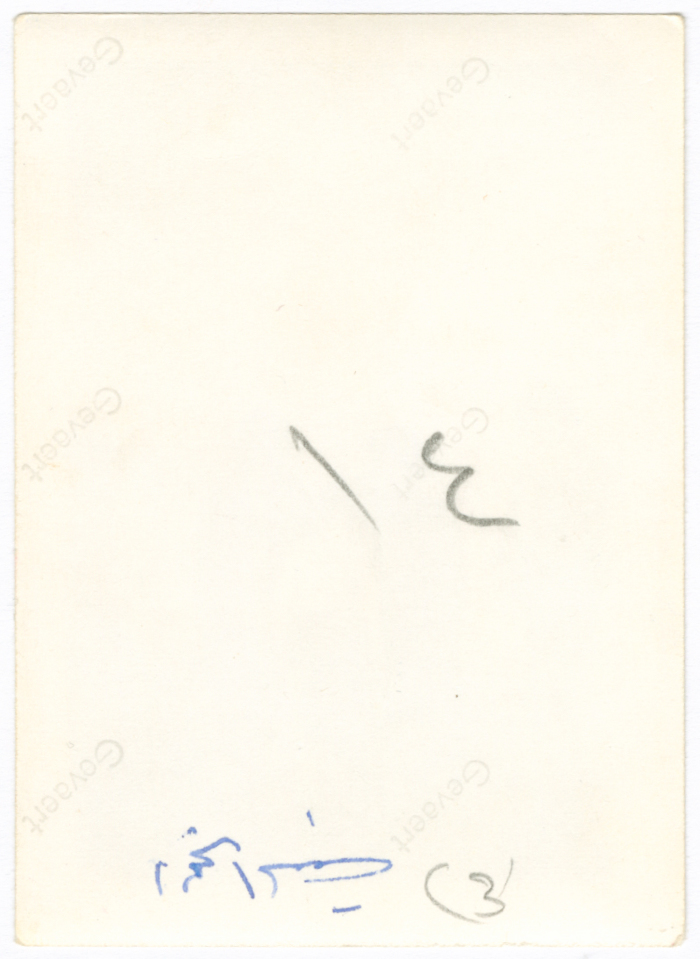 Women on a trip to the Dead Sea