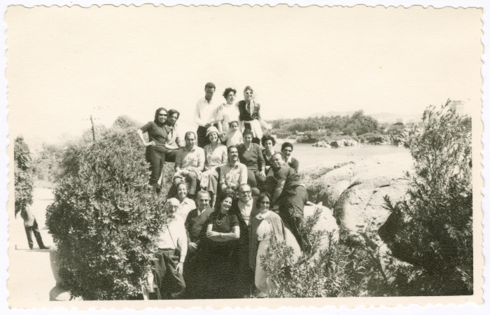 Friends on a trip to Egypt