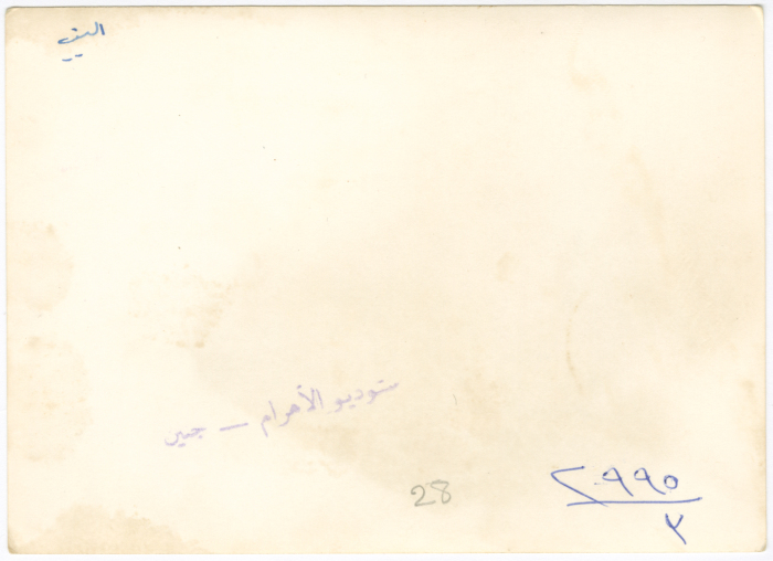 A family celebrating their daughter's birthday