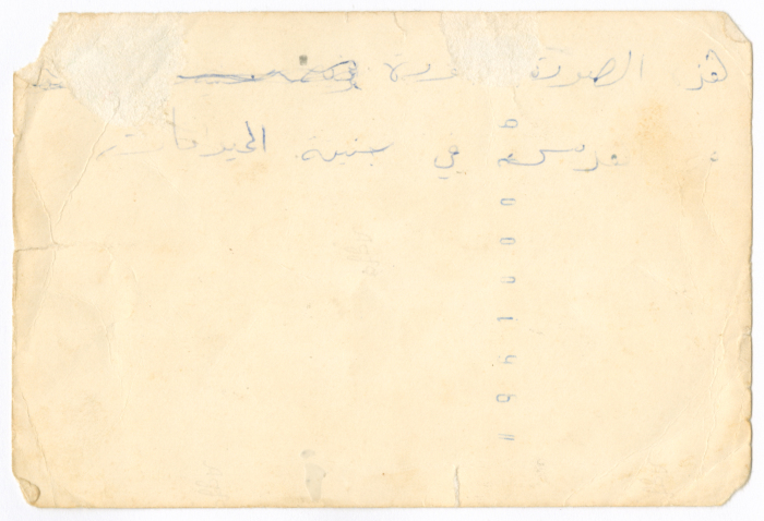 A school trip to a zoo in Jerusalem