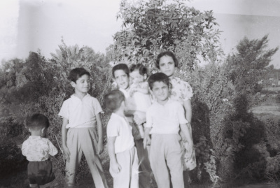 أقارب في متنزه