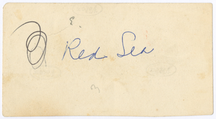 معلمات من مدرسة الفريندز في رحلة الى البحر الأحمر