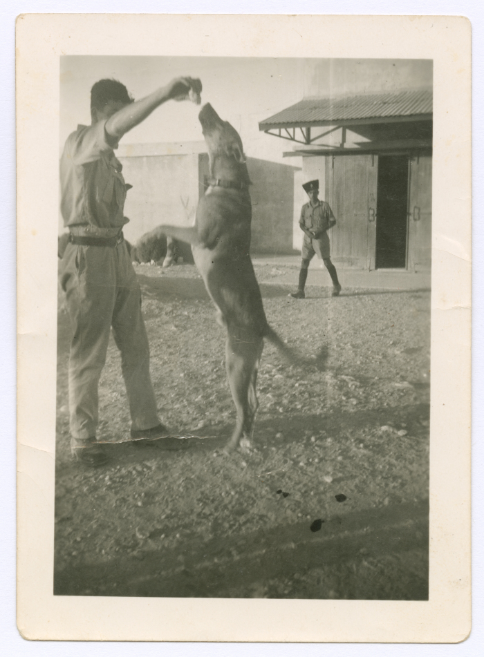 Two men and a watchdog at the British Army training camp
